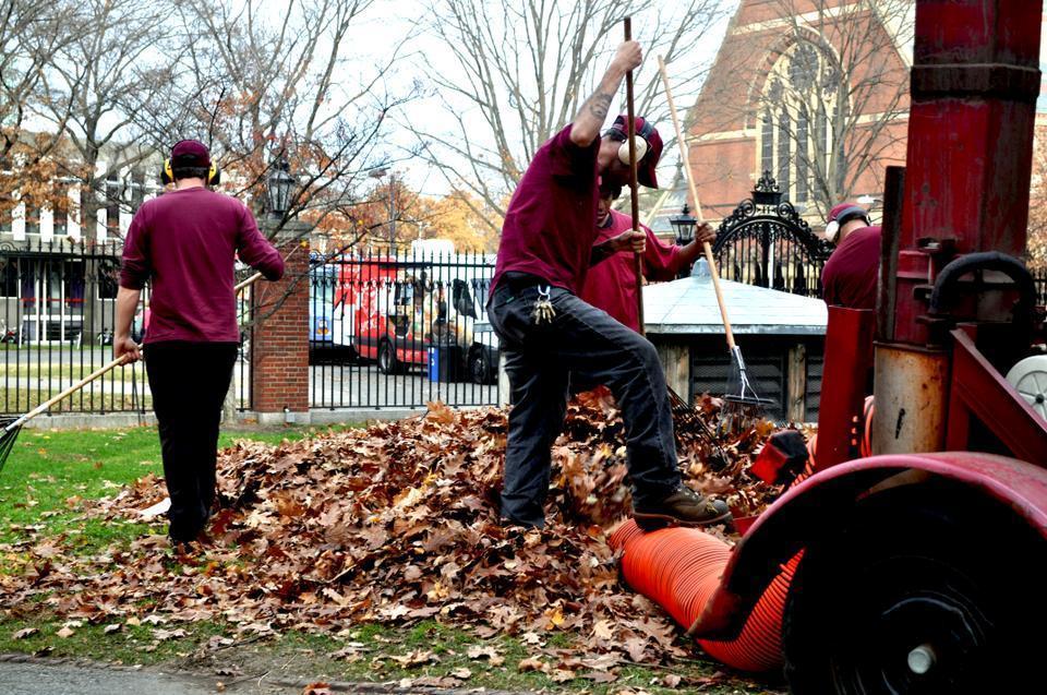 Four Harvard workers rake leaves into a disposal truck during a yard-wide leaf removal near the Science Center on Tuesday afternoon. 