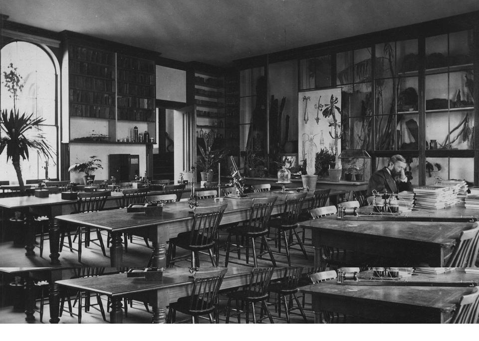 George L. Goodale, who became the first director of the Harvard Botanical Museum in 1888, analyzes plants in a laboratory in the Harvard University Herbaria.