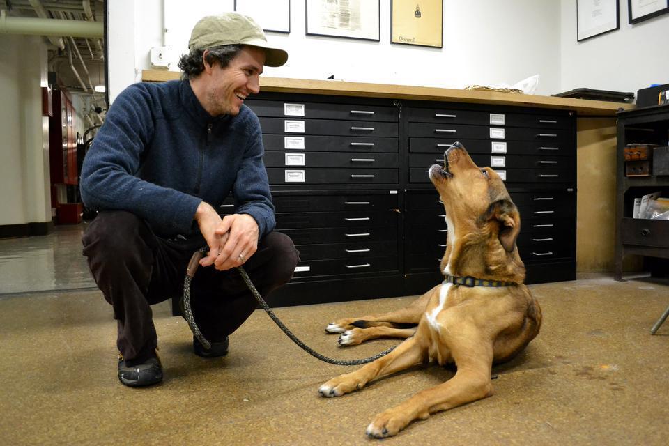 Whiskey, age 8, and his roommate Zachary Sifuentes ‘97, the Adams House resident tutor in poetry, rehearse their arrangement of “Happy Birthday” in the Bow & Arrow Press.