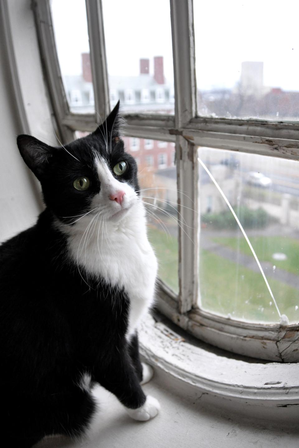 Sly enjoys a beautiful view of the Charles River from his room in Dunster House where he currently resides with James Esdaile, Resident Tutor in History and Public Service.
