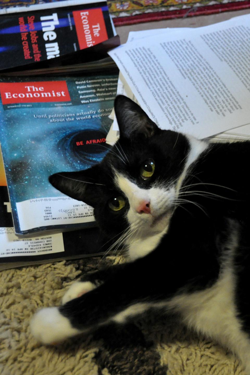 During Cambridge’s cold winter months, Sly enjoys curling up with issues of “The Economist” in front of his common room fireplace.