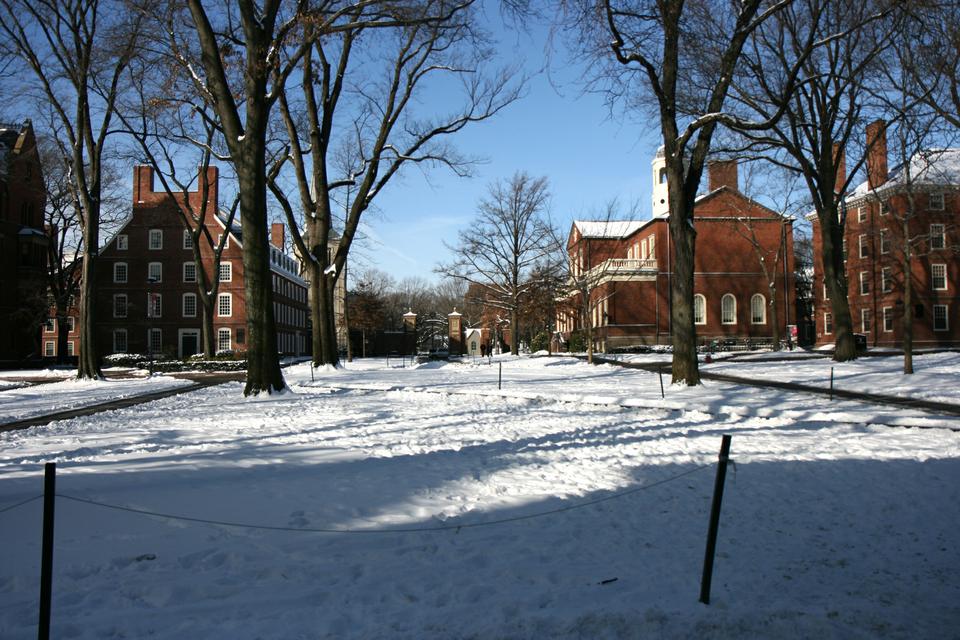 Harvard Yard is now empty and open to the public after the removal of the Occupy Harvard encampment and dome.