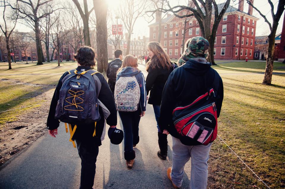 A group of students walk down a sunny, snow-free Harvard Yard. 