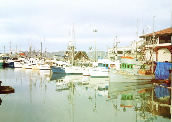 It's morning in Fisherman's Wharf; nearby, the Crab Shack opens.