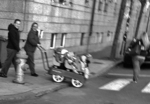 The weekend passed by even faster than the six-babied stroller.
