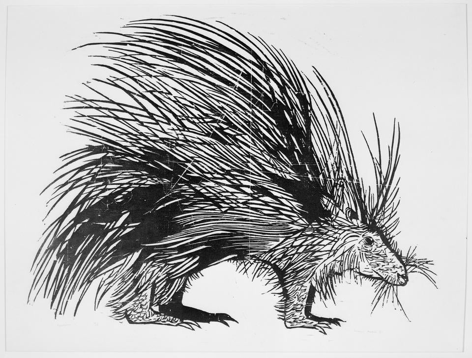 Pictured above is “Porcupine” (1951), by Leonard Baskin (1922–2000), on display at the Museum of Fine Arts.