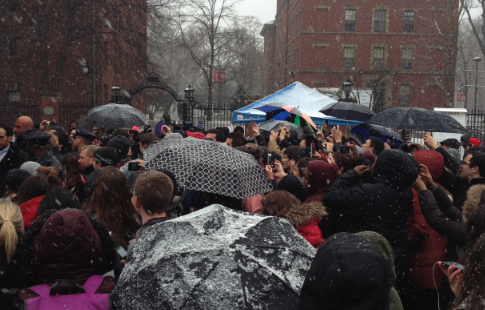 The crowds.