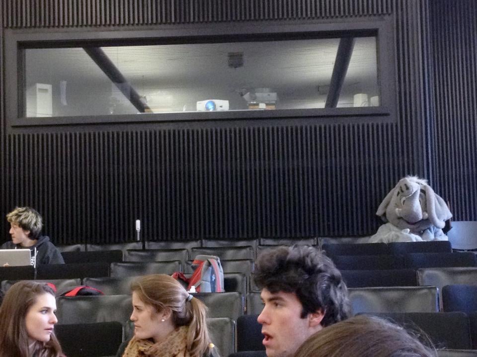With housing day coming up on Thursday, houses have begun to demonstrate their house pride with videos and mascots. Pictured here, an elephant, the mascot of Eliot House, sits in the back of Gov 1093, waiting for the class to start.
