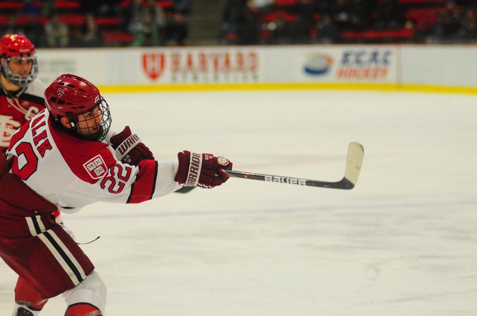 Junior forward David Valek, shown here in an earlier contest, recorded a hat trick in the Harvard men's hockey team's 8-2 victory over Yale on Sunday night.