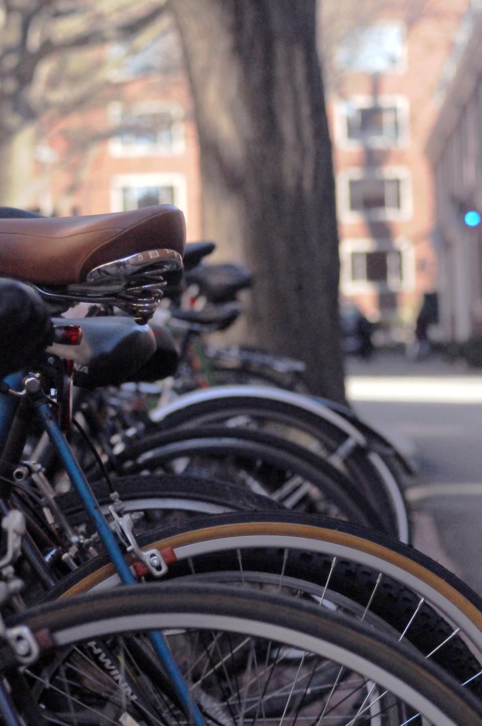This photo from March 6, 2012 shows a bike rack similar to the ones that will soon be filled with bicycles from Hubway, a regional bike sharing program that allows one to check out bikes from anywhere between 30 minutes to a day.