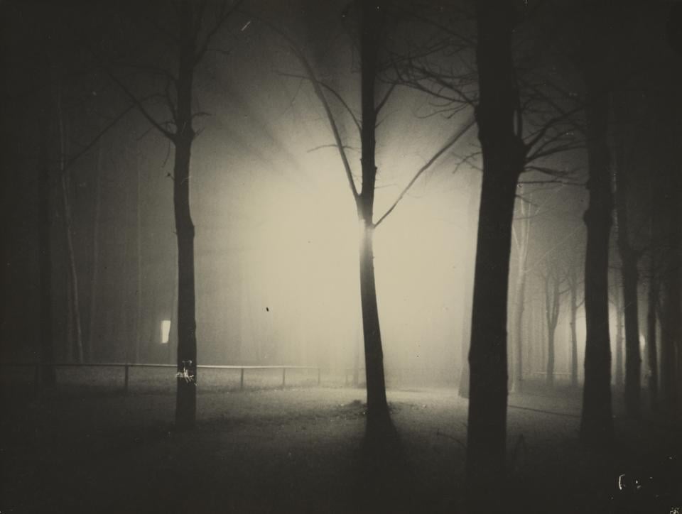 “Untitled (Night View of Trees and Streetlamp, Burgkühnauer Allee, Dessau)” was taken in 1928 by Lyonel Feininger, an artist better known for his Cubist and Expressionist paintings.