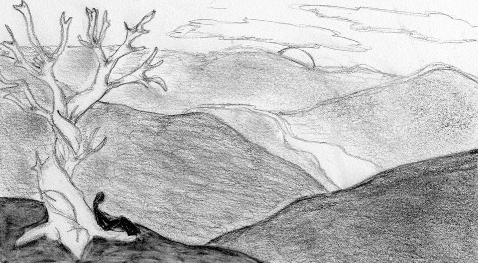 'The Cove' by Ron Rash is available in stores now.