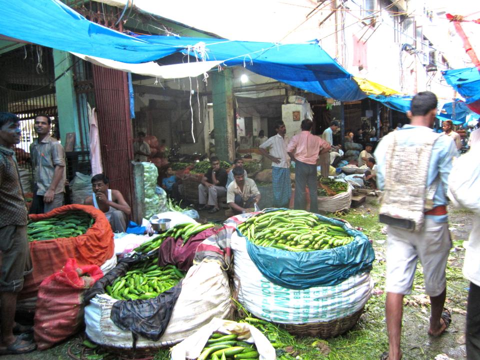 Cucumbers, packed in whirlpool configurations for maximum protection, sit ready to be sold in Azadpur's giant produce market.