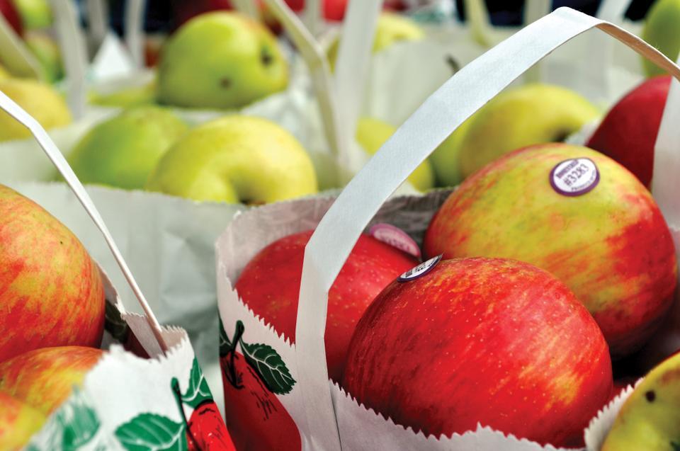 Although construction on the Science Center plaza has forced the Tuesday Farmer's Market to its new Natural History Museum loaction, the myriad of foods, like these apples, are as tantalizingly colorful as ever. 