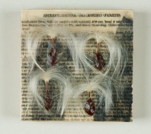 Susan Hardy Brown, a curatorial assistant at Harvard’s Arnold Arboretum, collages paper and plant matter that she has collected in 26 years cataloging specimens at the Arboretum. Hardy Brown creates her works through the “encaustic” technique, in which molten wax and resin are painted over a surface and sometimes embedded with other materials, like plants.