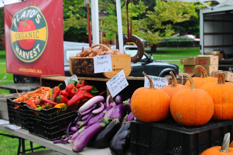 Plato’s Organic Harvest of Middleboro, Mass. specializes in fresh local organic produce, flowers, and organic meats. The market features thirteen constant vendors and ten other rotating vendors throughout the year. 