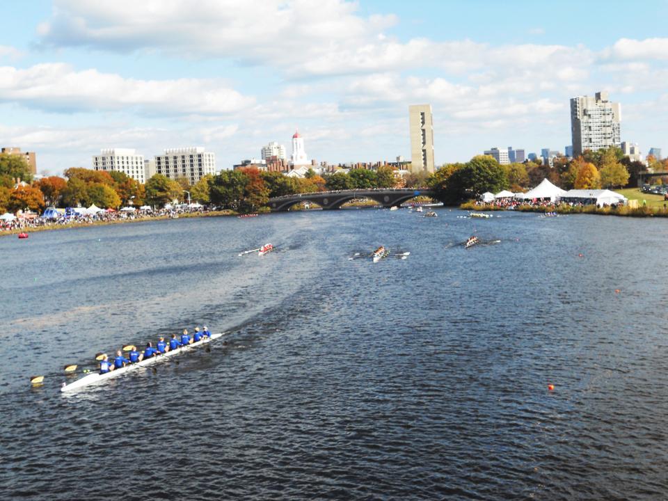 A continuous line of boats row down the Charles on this beautiful fall day, with spectators on the banks and on the bridges ready to cheer them on. 