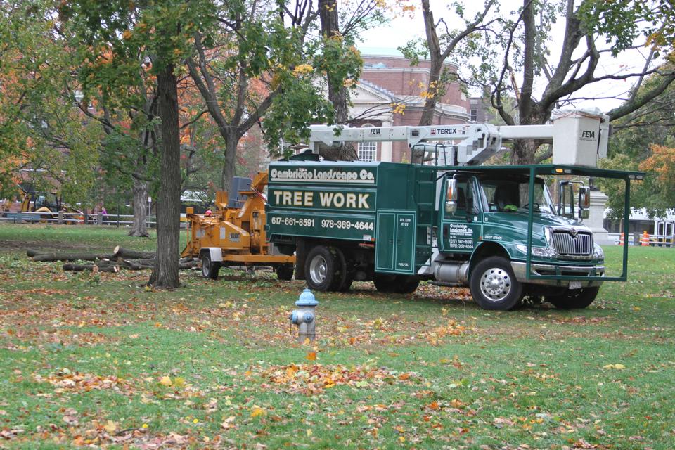 Workers work to remove fallen tree limbs from Cambridge Common on October 30, after Hurricane Sandy swept through the area on Monday.  The storm, which caused Harvard to cancel classes for the first time since 1978, was very windy and resulted in many trees losing branches .