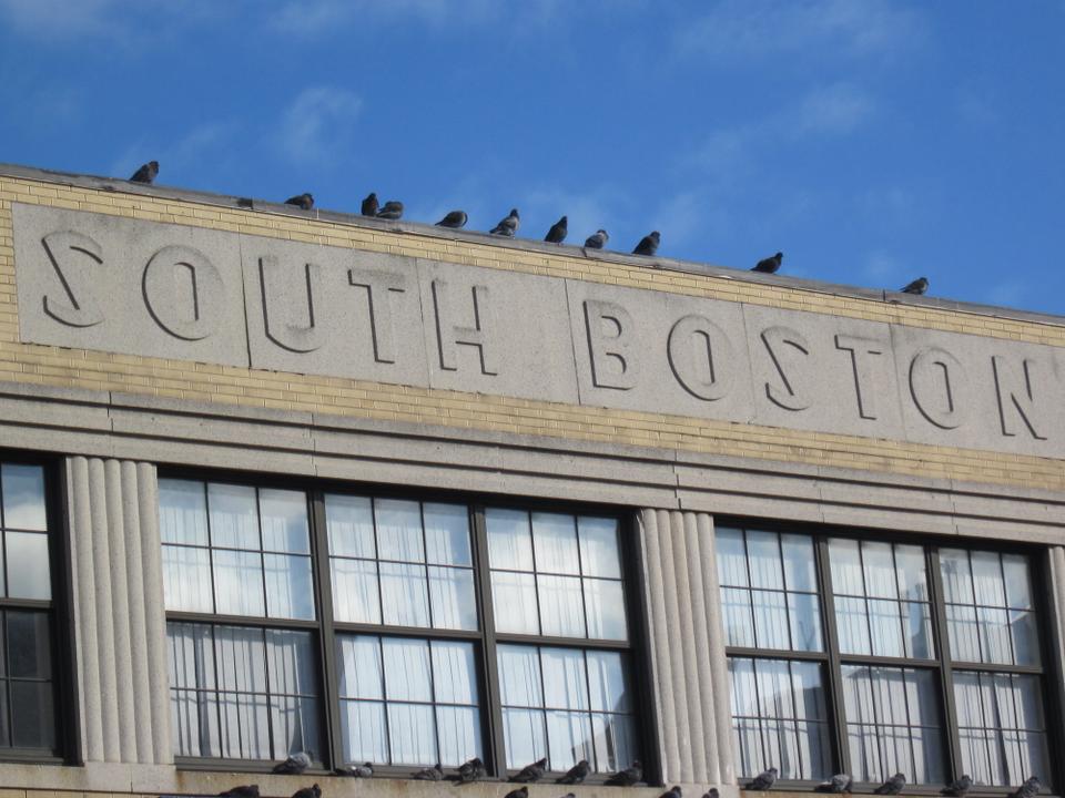 Elizabeth Warren was elected as Massachusetts’ as Massachusetts’ new senator earlier this month, but former Senator Scott Brown won 51% of the vote at the polls in South Boston. In 2010, Brown got 56% of the votes in South Boston.