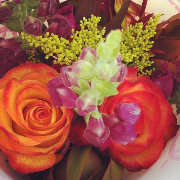 "Fall flowers are essential"—Megan B. Prasad '15, Crimson Staff Writer