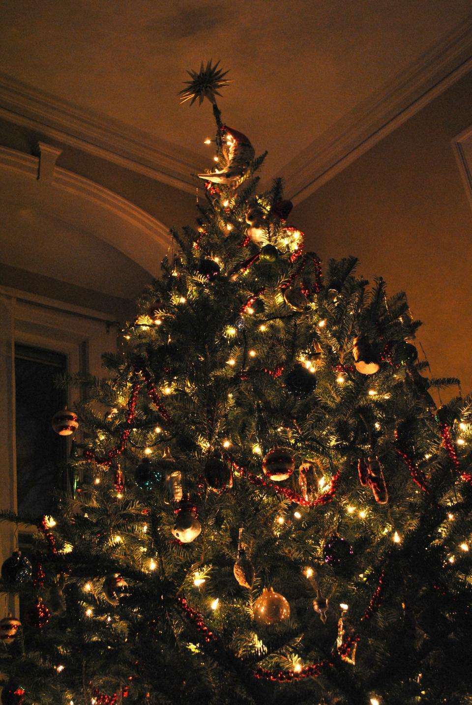 On branches, the only lights left on in the room.