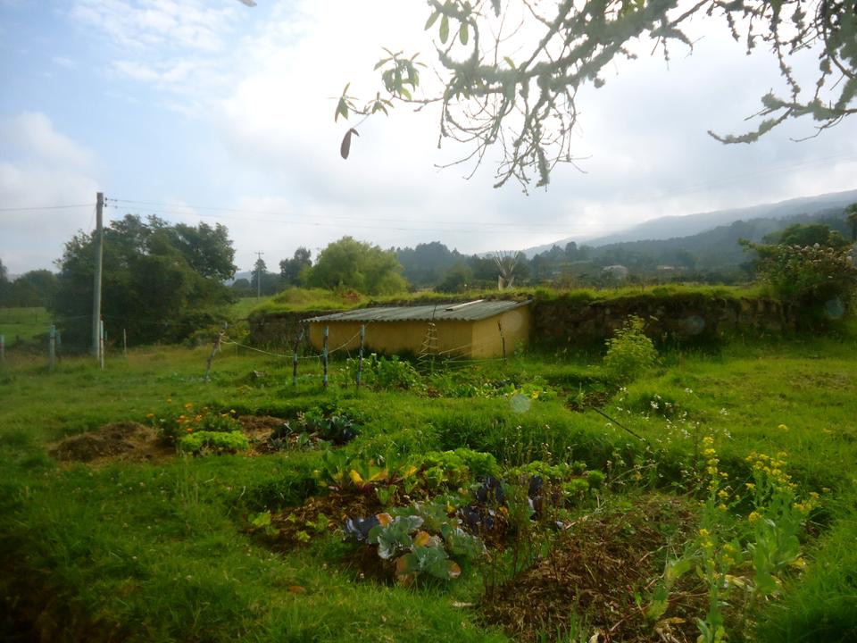 La Juanita, a prime example of a permaculture farm, heralds a small but growing change in the area's cultivation techniques.  