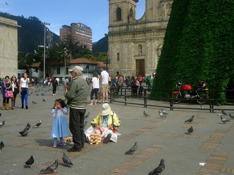 Bogotá's Plaza de Bolívar: home to majestic cathedrals, pigeons, and little girls dressed in Disney princess outfits begging to feed said pigeons. 