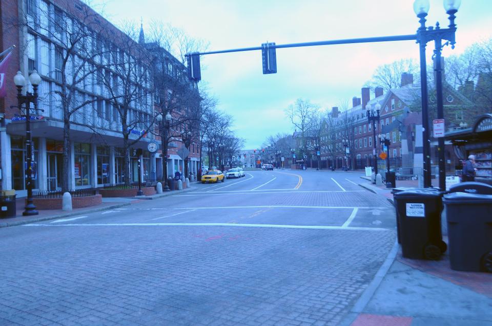 Harvard Square, Massachusetts Avenue is empty Friday morning as locals obey the Governor Deval L. Patrick '78 request that Boston area residents  stay indoors.