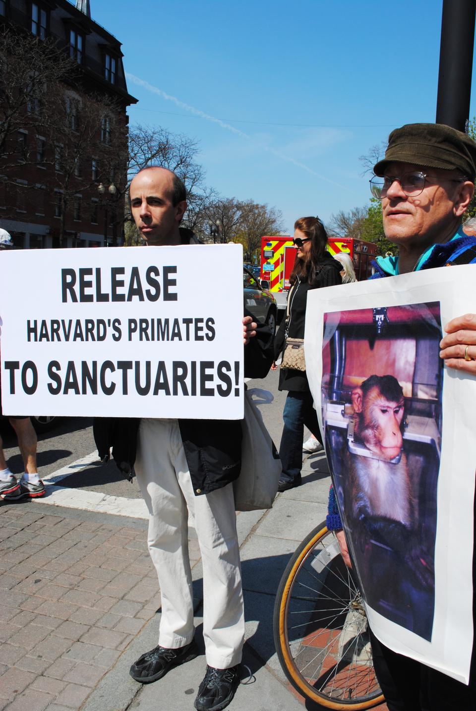 Protesters stand in Harvard Square with signs calling for the release of primates from the New England Primate Research Center to sanctuaries. NEPRC, affiliated with Harvard Medical School in Southborough, is set to close in 2015.