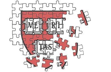 As the University prepares for the public launch of a multi-billion dollar capital campaign, it looks to coordinate across Harvard's 15 schools and balance school-specific interests with a commitment to centralization.
