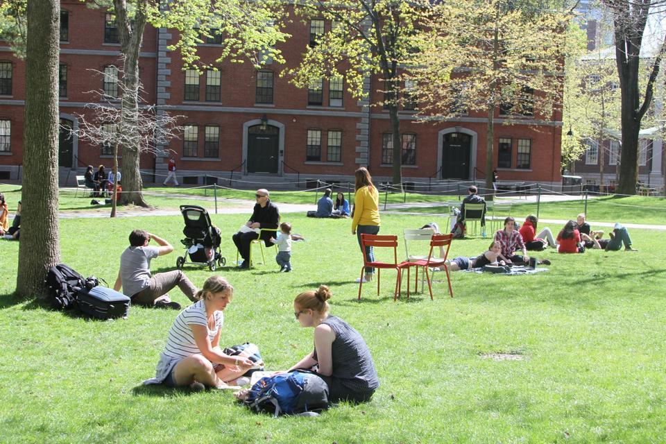 Students and faculty enjoy the sunshine in the Yard on Sunday during reading week before finals begin this Thursday. 