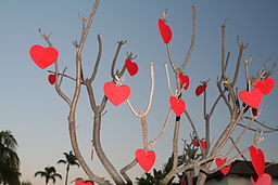 Cover image for The Quintessential Harvard Valentine's Day