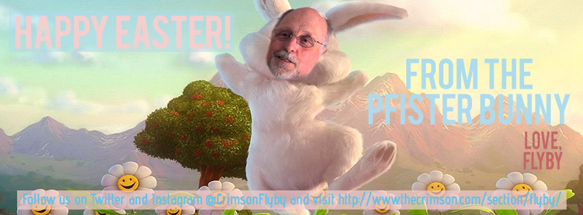 Happy Pfister Sunday! Enjoy Flyby's Pfister egg hunt in the Yard!