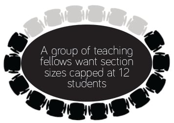 Cover image for Teaching Fellows Campaign