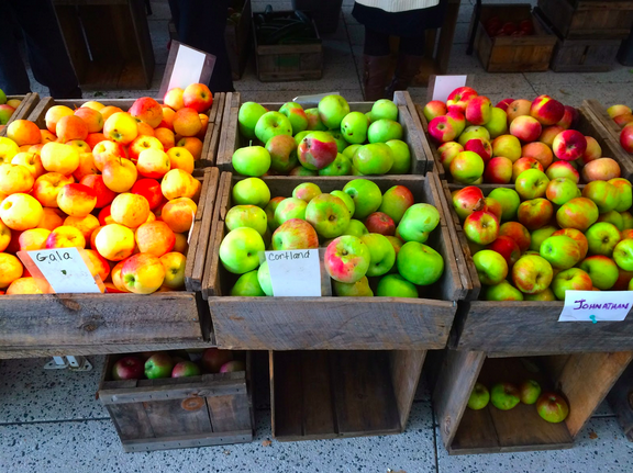 It’s apple season in Massachusetts! While HUDS does offer apples, check out the farmer’s market for a wider selection of New England’s delicious premier fruit. 