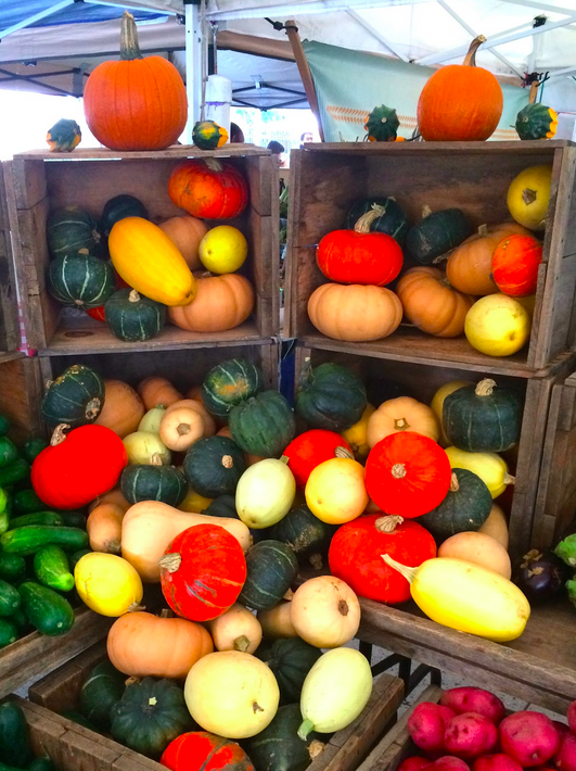 Looking to spice up your dorm decor and welcome the fall season? Invest in some decorative gourds! 