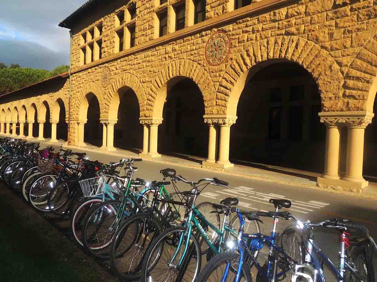 Thousands of bikes decorate the Stanford campus.