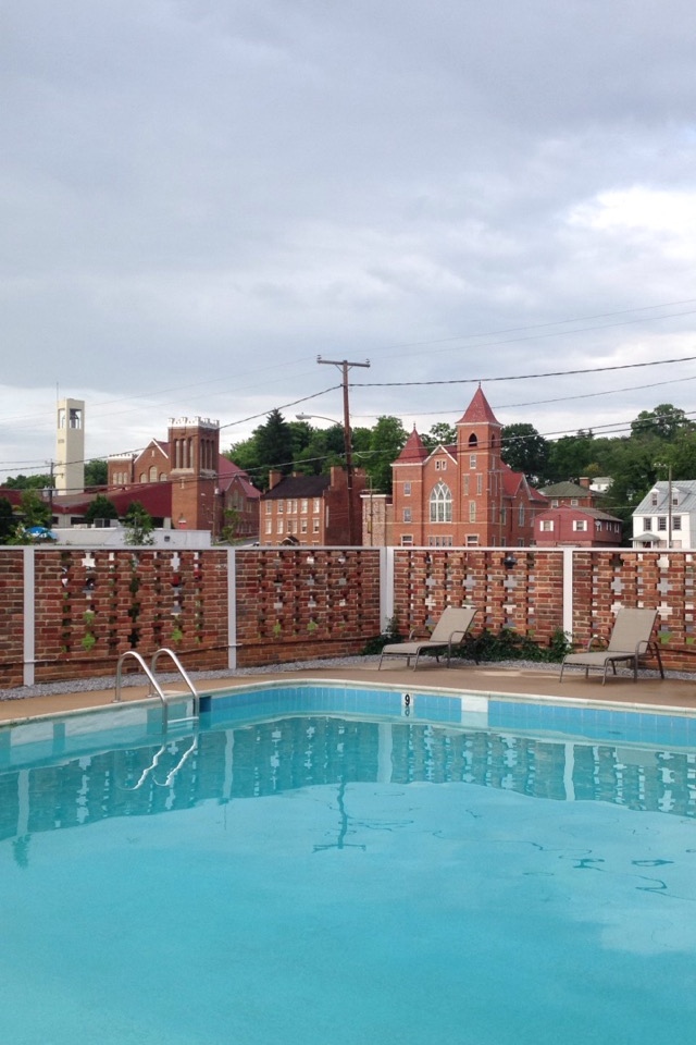 The abandoned pool in question.