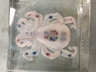 Cover image for Assembling the Octobot