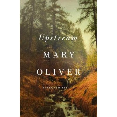 Cover image for 'Upstream' Both Boring and Brilliant
