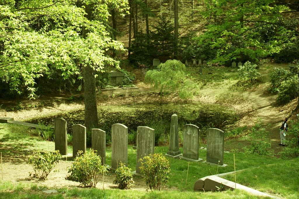 Gravestones pictured in the Mt. Auburn Cemetery in 2016. Earlier this fall, the cemetery hosted a concert reading called "Moonlight Abolitionists: A Play for the Full Moon," which centered the lives of six abolitionists buried in there.