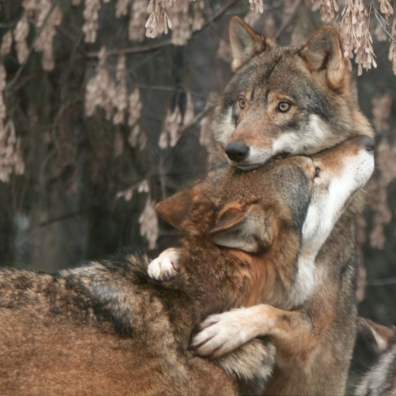 That feeling when your friend hugs you for a couple seconds too long...