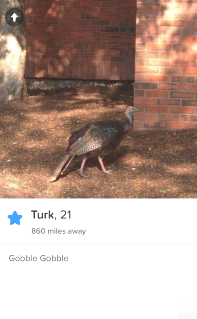Who says turkey can only be the star of one holiday?