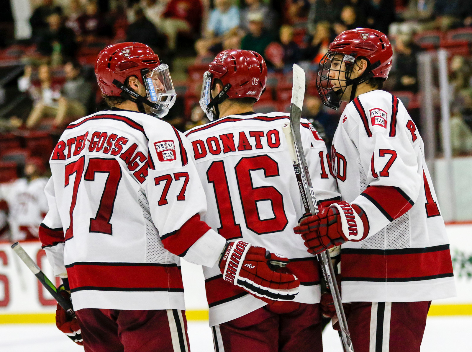 Junior forward Ryan Donato gets together with his fellow top-line wingers after notching a goal in Saturday's exhibition vs. USNTDP U-18. Donato will be heavily relied upon this year to establish his team's offensive tone, as well as mentor the younger players cracking the lineup for the first time.