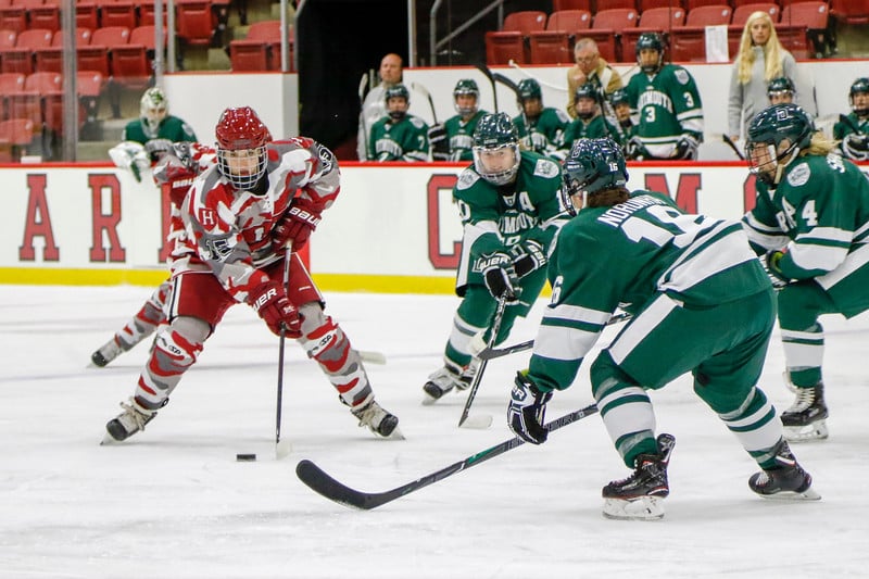 Harvard will look to avoid the Ivy League swarm this season as it seeks redemption after a poor showing last year.
