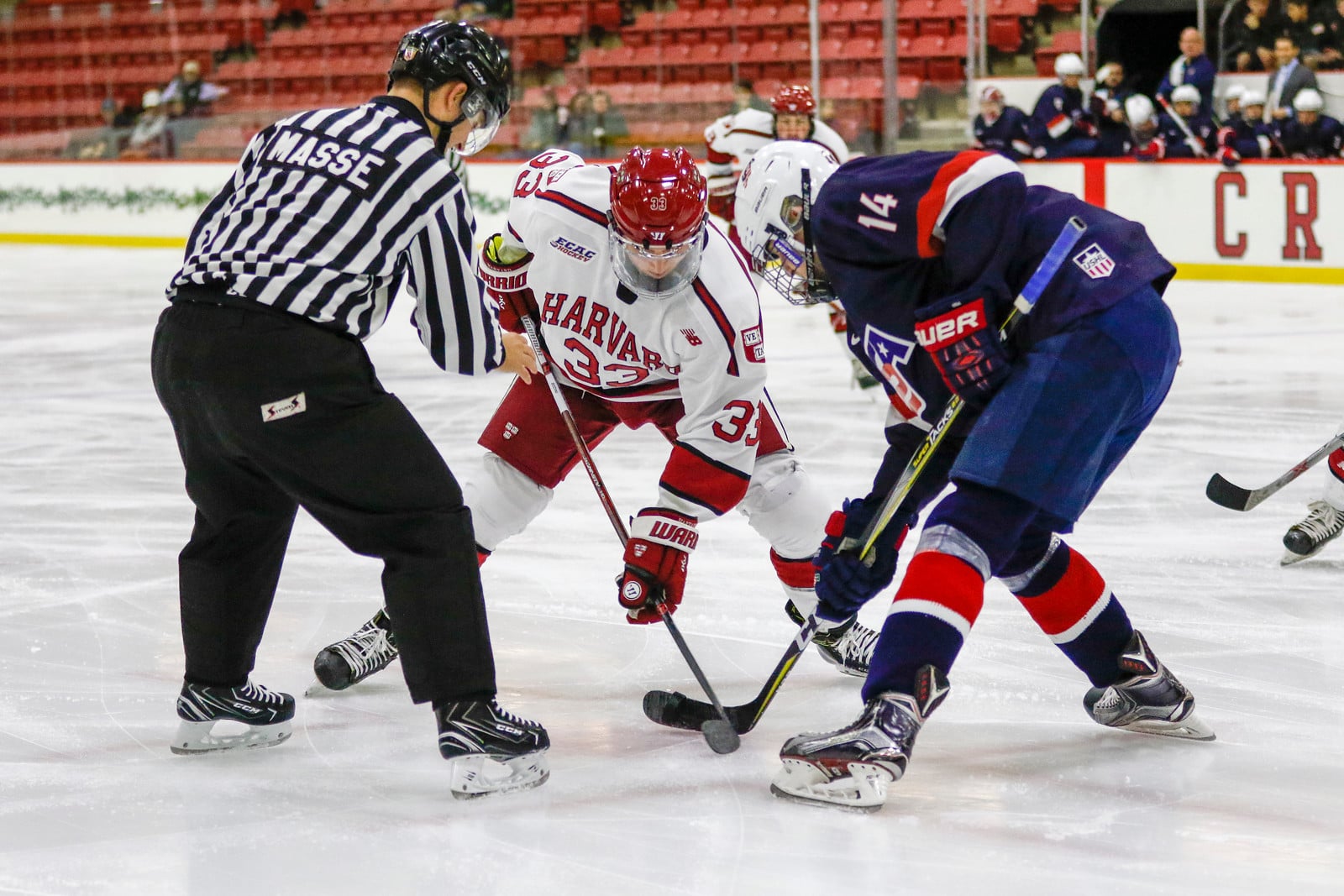 Freshman forward Jack Badini tallied three points in his first game centering the second line on Friday. The Crimson will continue to rely on depth scoring as the season progresses.