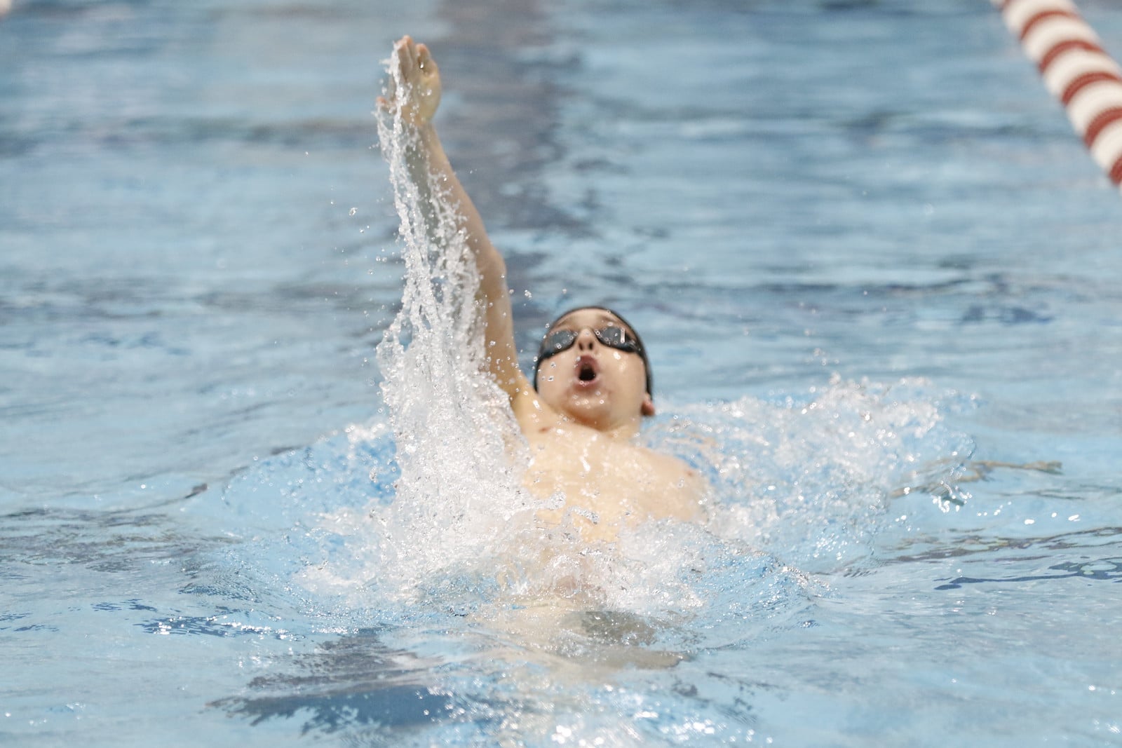 The men’s swimming and diving team has not lost in a home meet since 2012.