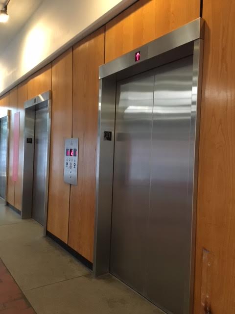 Science Center elevators between 10 and 10:07 a.m., a scary sight.