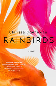 Cover image for ‘Rainbirds’: Cleverly Organized Stories Buoy Fascinating Plotline