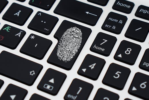Source: Pexel Stock Photo